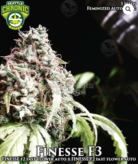 An image of Finesse F3
